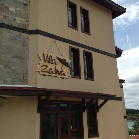 Bay * Arapya