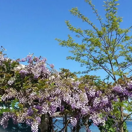 Pensiune Bay *